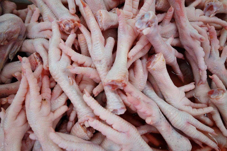 進口白俄羅斯雞爪清關流程