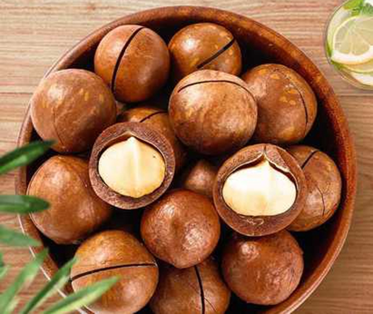 廣州進口泰國夏威夷果報關(guān)資料-19年堅果進口報關(guān)行