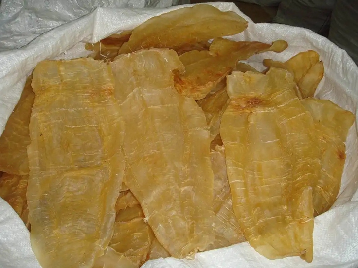 進口魚膠清關(guān)