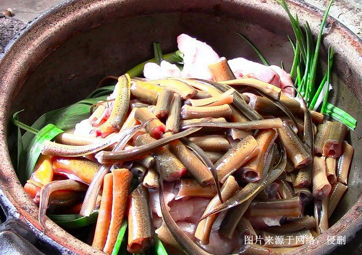 印尼進口成都鱔魚報關流程