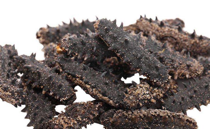 法國海參進(jìn)口報(bào)關(guān)流程