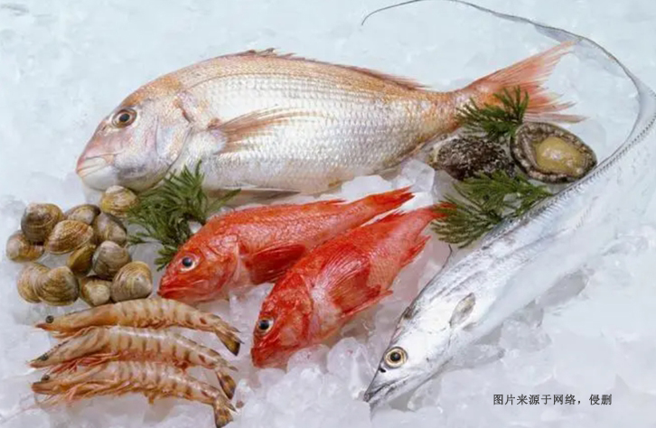 寧波冷凍食品進(jìn)口報關(guān)：解讀進(jìn)口通關(guān)的重要步驟