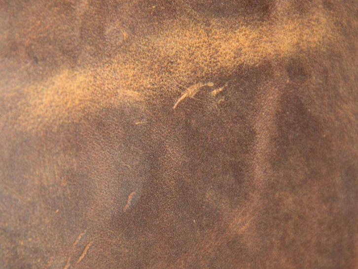 巴西馬屬動物皮張進口報關流程