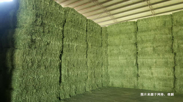 羅馬尼亞苜蓿草進口報關(guān)資料