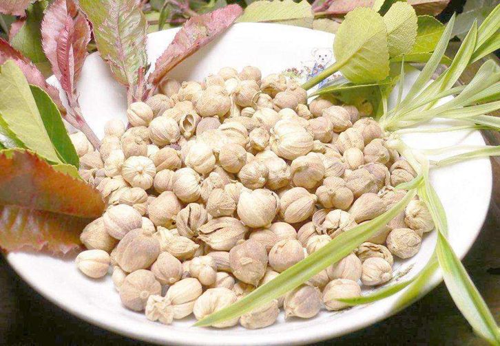 阿拉伯聯(lián)合酋長(zhǎng)國(guó)豆蔻進(jìn)口報(bào)關(guān)