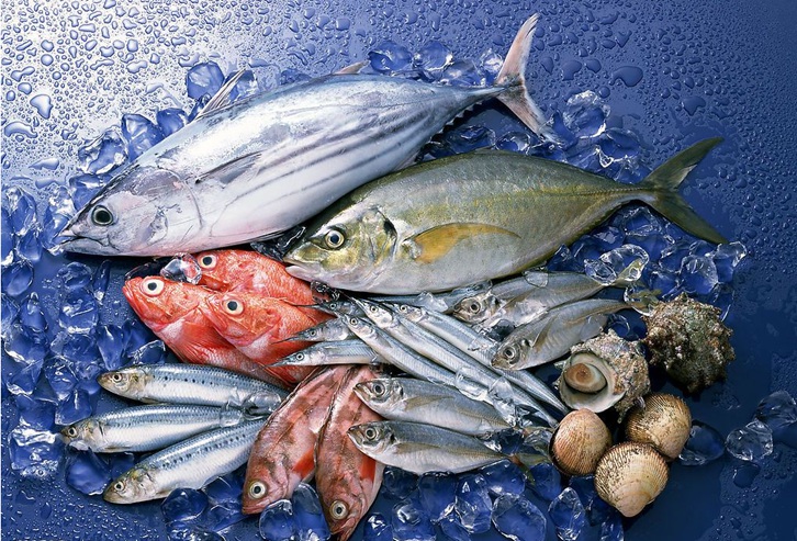 水產品進口清關所需資料流程_越南沙丁魚報關代理