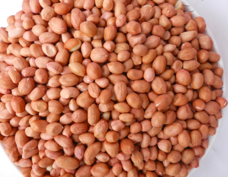 廣州花生米進口報關(guān)代理