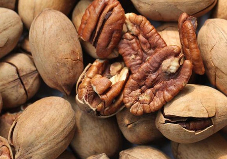 深圳碧根果進(jìn)口報(bào)關(guān)公司