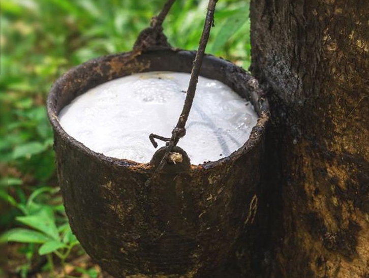 深圳橡膠進(jìn)口報關(guān)流程