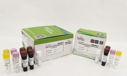 美國進口生物試劑報關常見問題，你要了解的