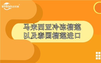 馬來西亞冷凍榴蓮以及泰國榴蓮進口報關(guān)公司