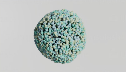 美國細胞進口報關的注意事項_生物制品細胞清關流程