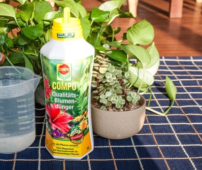 氨基酸營(yíng)養(yǎng)液進(jìn)口報(bào)關(guān)資料_植物營(yíng)養(yǎng)劑進(jìn)口申報(bào)要素