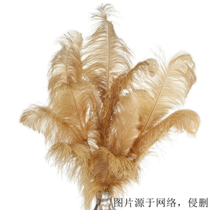 英國(guó)水洗鴕鳥羽毛進(jìn)口報(bào)關(guān)資料_羽絨清關(guān)注意事項(xiàng)