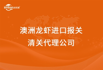 澳洲龍蝦進口報關清關代理公司