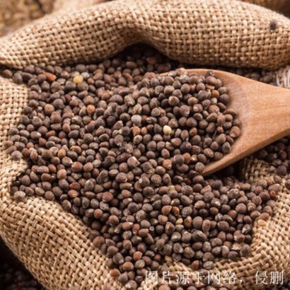 進口奇亞籽清關(guān)資料流程_墨西哥奇亞籽進口報關(guān)行