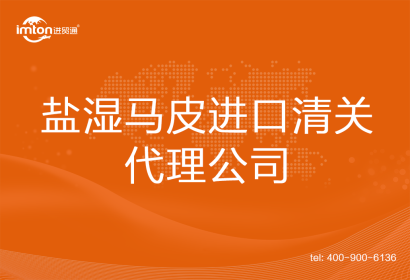 鹽濕馬皮進口清關代理公司