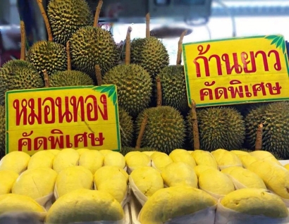 青島進(jìn)口泰國(guó)榴蓮報(bào)關(guān)資料這8樣_林查班海運(yùn)專(zhuān)線