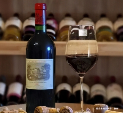 上海港食品酒水進(jìn)口報(bào)關(guān)清關(guān)服務(wù)的重要性、流程及細(xì)節(jié)