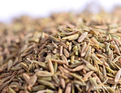 德國枯茗子進口清關資料_青島進口孜然香料報關流程