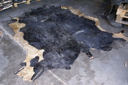 藍濕牛皮進口需要什么資料及藍濕牛皮報關流程