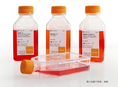 德國細胞培養試劑進口報關資料_上海空運生物試劑