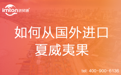 如何從國外進口夏威夷果