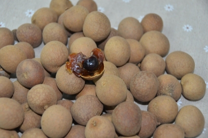 緬甸龍眼進(jìn)口清關(guān)流程_新鮮水果進(jìn)口報(bào)關(guān)單證資料