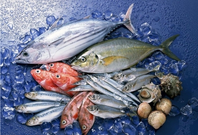 長沙進口菲律賓冷凍魚清關流程_冷凍海鮮空運費用