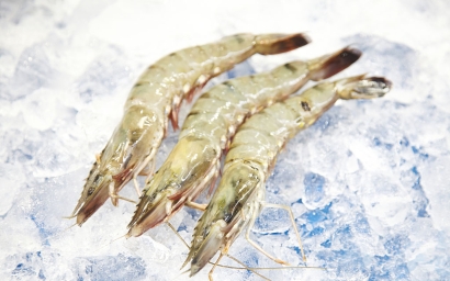 冷凍蝦進(jìn)口清關(guān)代理