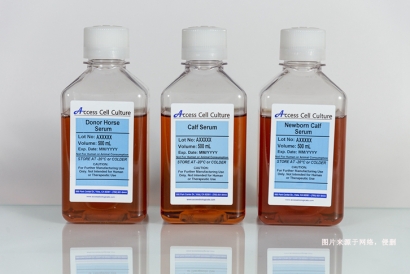 澳大利亞新生牛血清進口報關資料到深圳生物制品案例