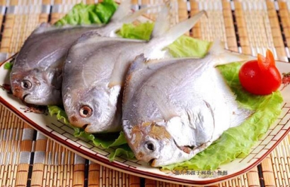 印尼冷凍鯧魚進(jìn)口報(bào)關(guān)流程-廣州水產(chǎn)品報(bào)關(guān)行