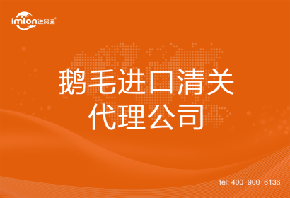 鵝毛進口清關代理公司