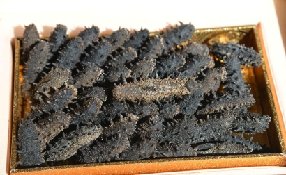 專業進口干海參清關代理公司