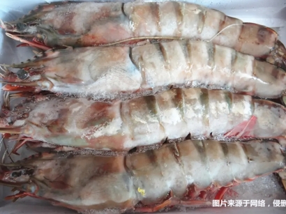 冷凍去頭明對蝦進(jìn)口報(bào)關(guān)的注意事項(xiàng)有這3點(diǎn)