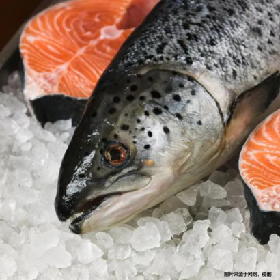 廈門冷凍食品進口報關清關指南-19年冷凍食品進口報關行