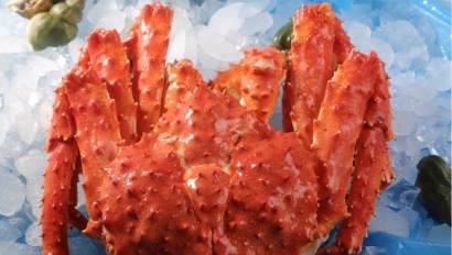 俄羅斯帝王蟹進口清關(guān)手續(xù)流程及注意事項「通關(guān)攻略」