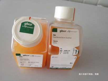 澳大利亞牛血清進(jìn)口報(bào)關(guān)資料_青年牛血清生物制品