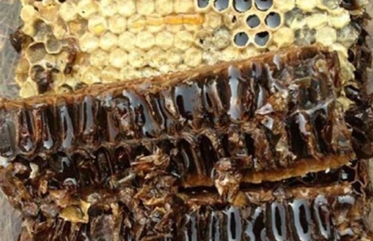 Get!蜂膠進口清關代理需要注意這2點