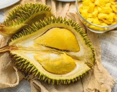 上海進(jìn)口泰國(guó)榴蓮清關(guān)流程門(mén)到門(mén)_林查班海運(yùn)專(zhuān)線