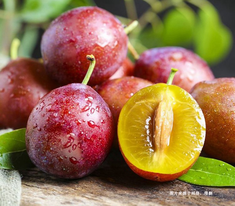 進口智利西梅報關流程 進口智利西梅報關流程