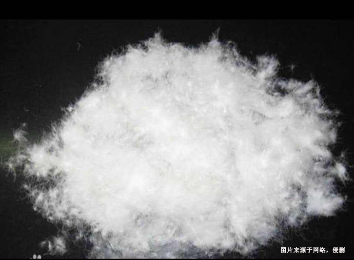 越南水洗鴨絨進口清關資料 越南水洗鴨絨進口清關資料