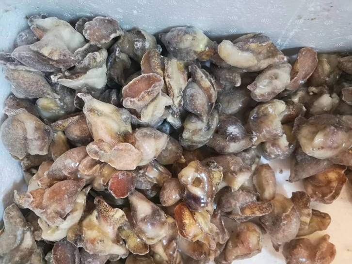 廣州南沙港進口英國冷凍水產品報關 廣州南沙港進口英國冷凍水產品報關