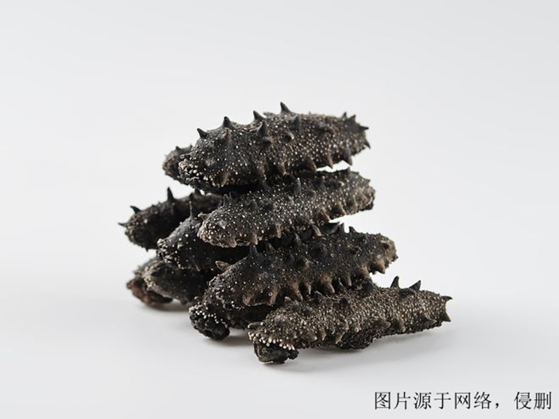 廣州進口越南仿刺參清關(guān)流程-19年冷凍水產(chǎn)品報關(guān)行