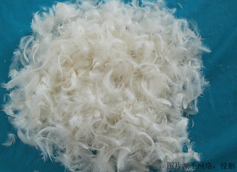 鴨毛進口報關(guān)資料 鴨毛進口報關(guān)資料