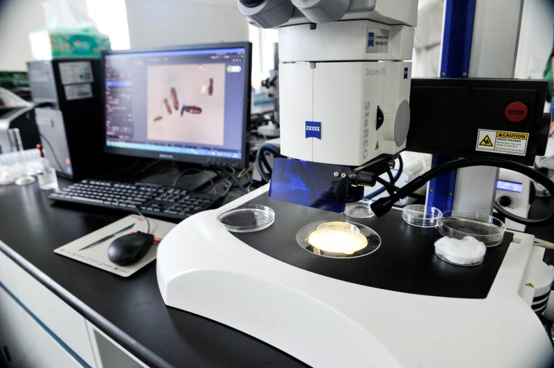 1546827521408846.jpg 檢驗檢疫類別