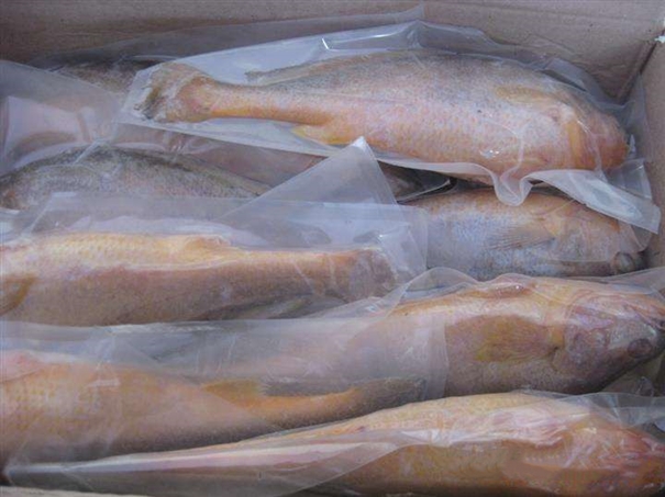 進(jìn)口韓國海鮮報關(guān) 進(jìn)口韓國海鮮報關(guān)