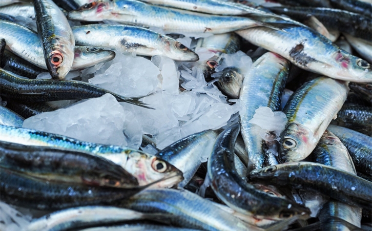 加拿大冷凍魚進(jìn)口報(bào)關(guān) 加拿大冷凍魚進(jìn)口報(bào)關(guān)一站式進(jìn)口代理公司