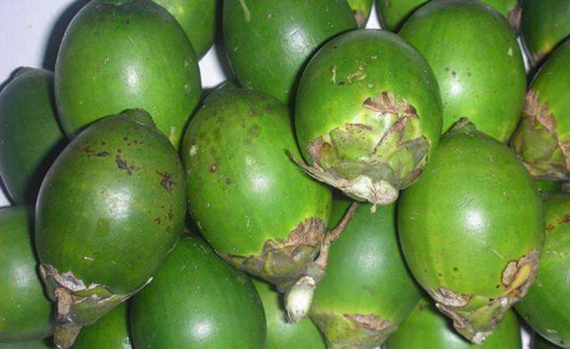 1653302923558674.jpg 進(jìn)口臺(tái)灣新鮮檳榔報(bào)關(guān).jpg