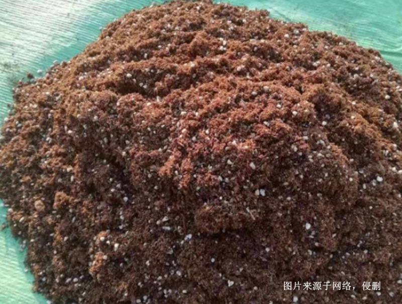 越南椰糠進(jìn)口報(bào)關(guān)代理流程 越南椰糠進(jìn)口報(bào)關(guān)代理流程